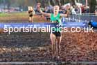 Senior Womens and Under-23s 2025 Liverpool Cross Challenge, Sefton Park, Saturday, November 22th. Photo: David T. Hewitson/Sports for All Pics